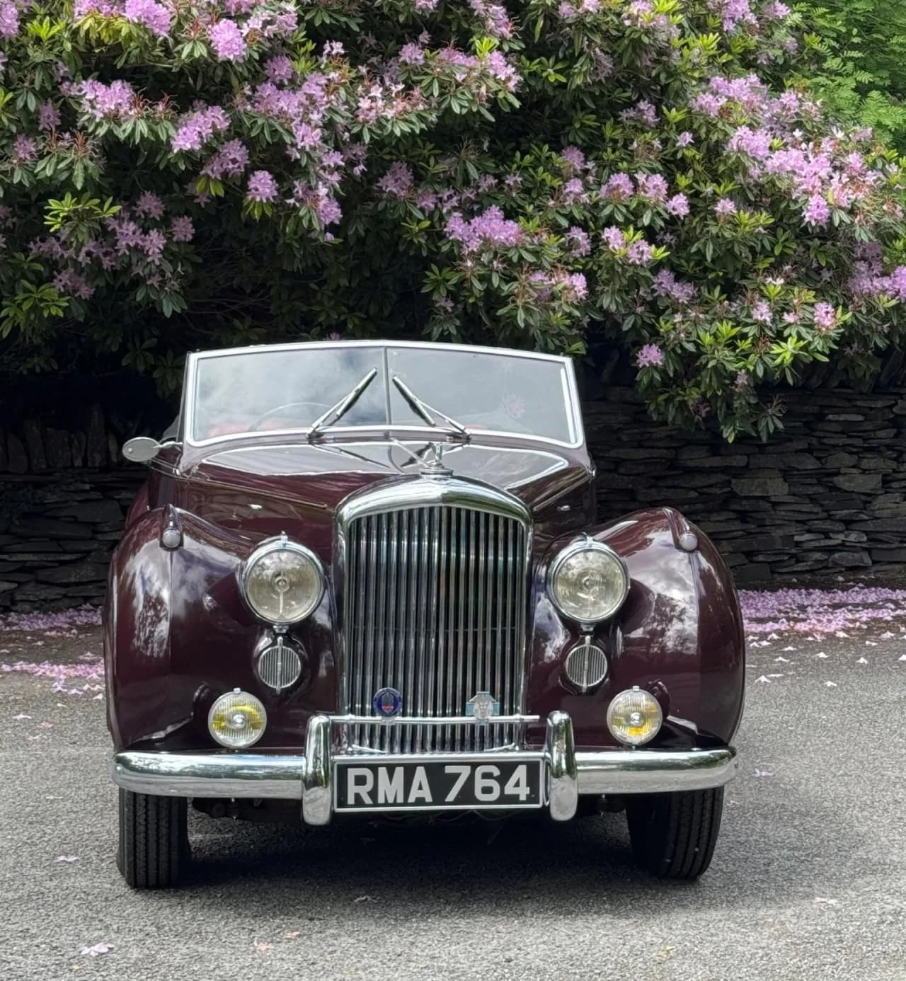 1953 Bentley R Type Mulliner Drophead Coupe - Thumbnail 5