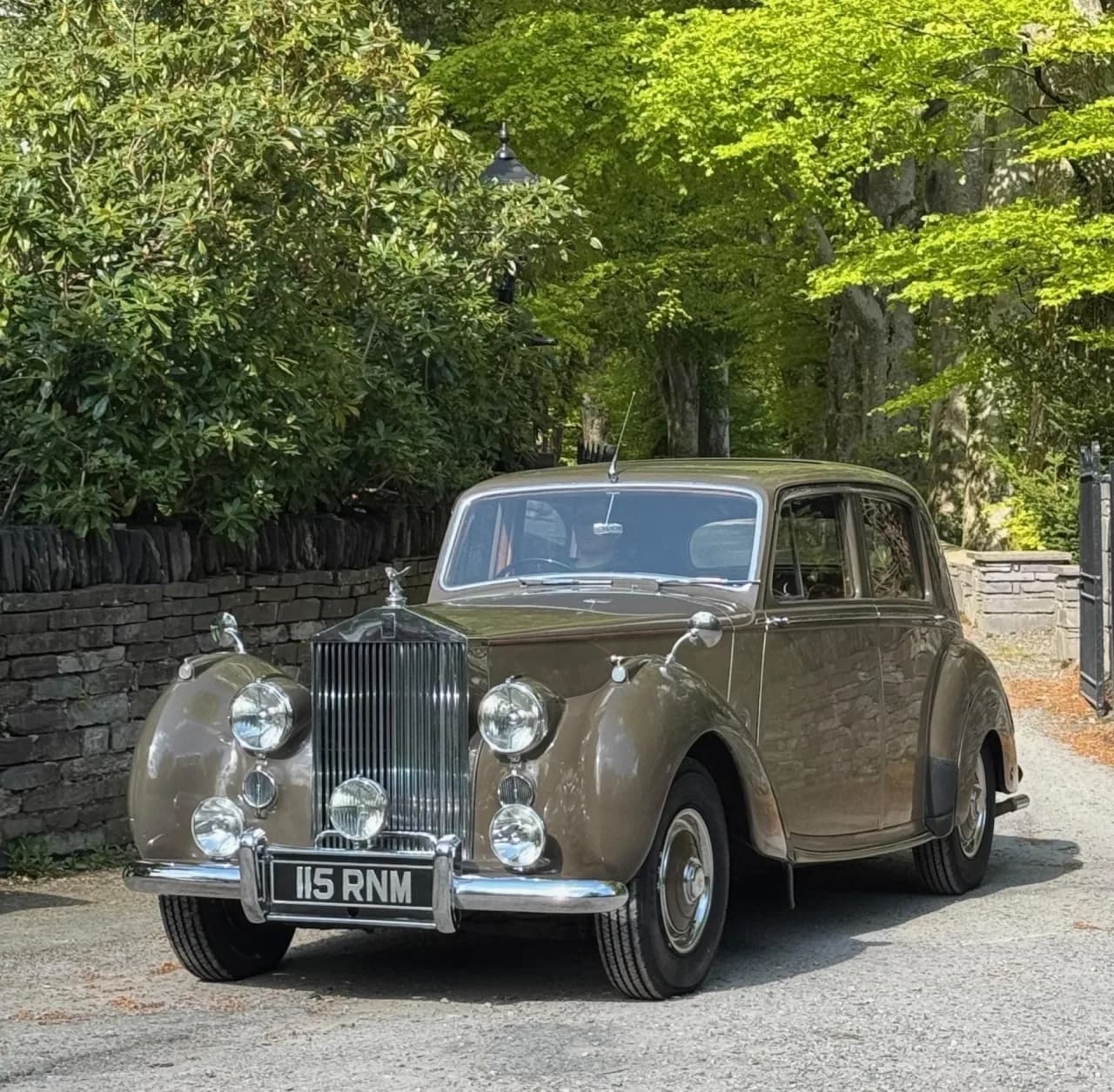 1952 Rolls - Royce Silver Dawen - Thumbnail 3